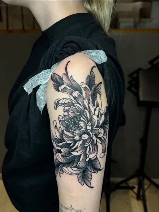 Medium Black and Grey Chrysanthemum Tattoo on Women Shoulder by @yotatattooer.kiku
