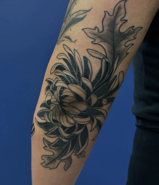 Medium Black and Grey Chrysanthemum and Oak Leaves Tattoo on Women Arm by @kaitlintattoos