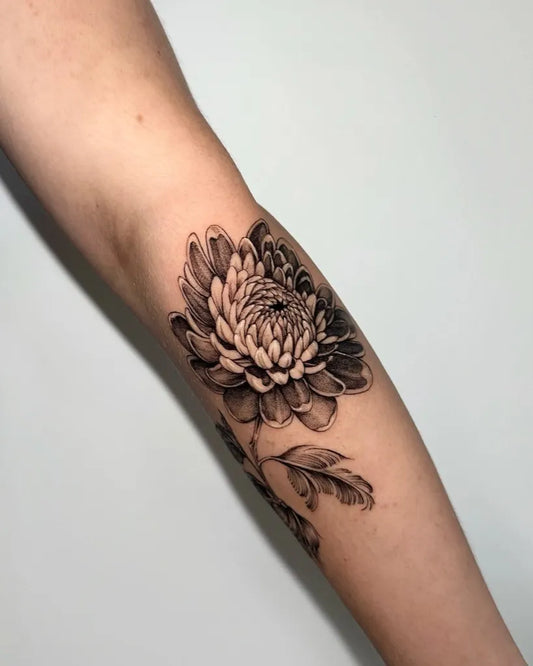 Medium Black and Grey Chrysanthemum black Tattoo on Women Arm by @hazy_tattoos