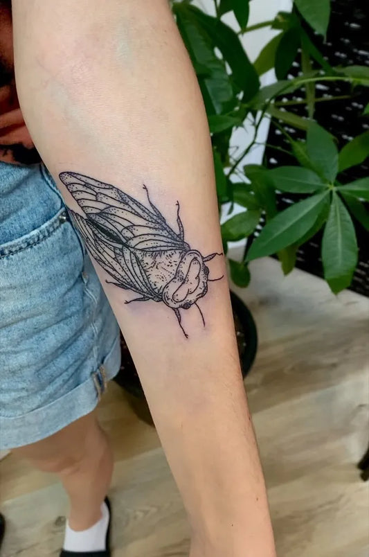Medium Black and Grey Cicada on Women Arm Tattoo by @tinymilo.tattoos_
