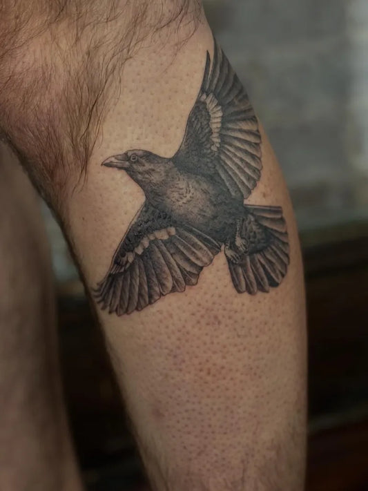 Medium Black and Grey Crow Tattoo on Men Arm by @megankellyart