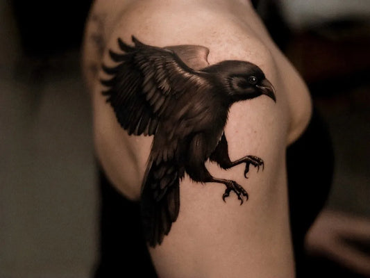 Medium Black and Grey Crow Tattoo on Women Shoulder by @dionne.tattoo