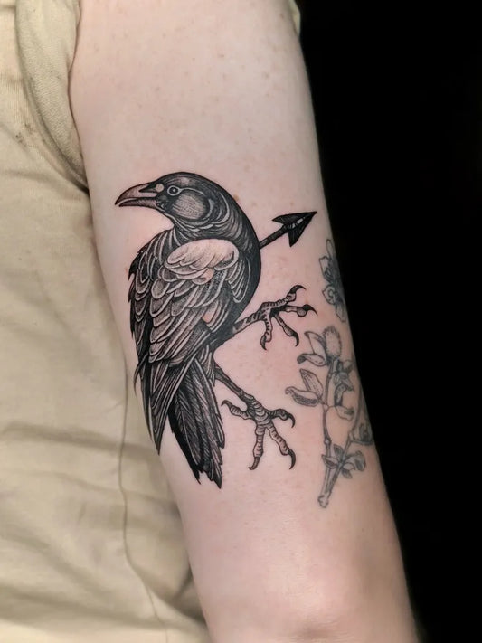 Medium Black and Grey Crow with Arrow Tattoo on Women Arm by @clara.tattoos