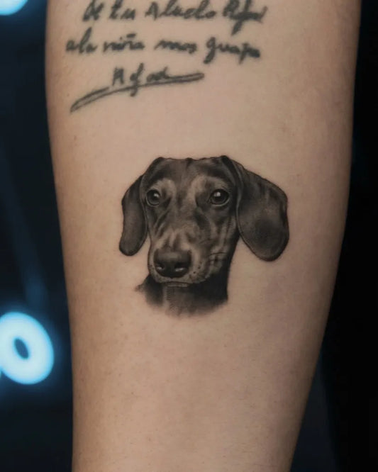 Medium Black and Grey Dachshund with Spanish Quote Tattoo on Women Arm by @juancahierrotattoo