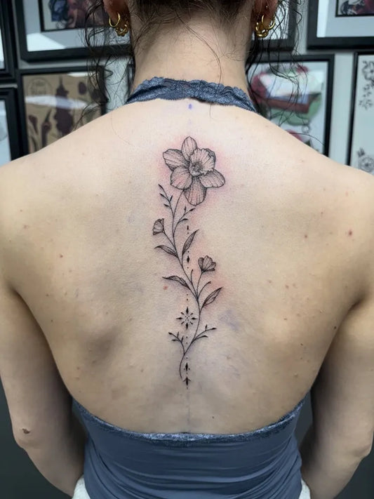 Medium Black and Grey Daffodil Stem Tattoo on Women Back by @carol_cannon_tattoos