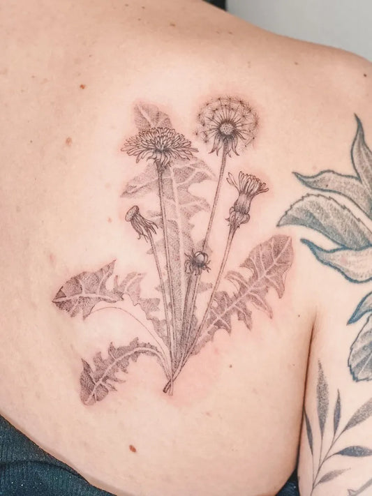 Medium Black and Grey Dandelion and Leaves Tattoo on Women Shoulder by @the.tinyvegan