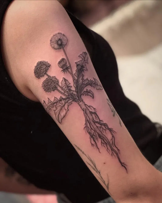 Medium Black and Grey Dandelion and Thistle Tattoo on Women Arm by @natts_tatts