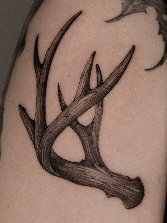 Medium Black and Grey Deer Antlers Tattoo on Men Shoulder by @rosietattooer