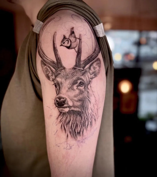 Medium Black and Grey Deer with Bird Tattoo on Men Shoulder by @tohelltattoo