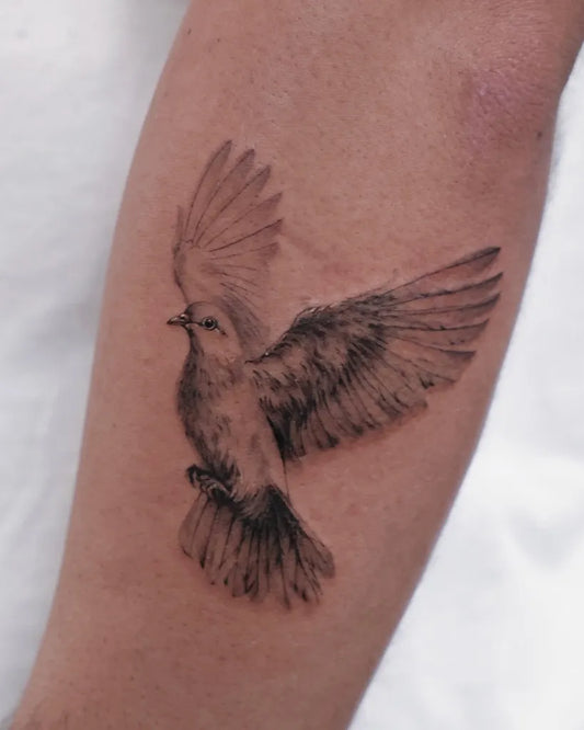 Medium Black and Grey Dove Tattoo on Women Arm by @vivi_tattooer