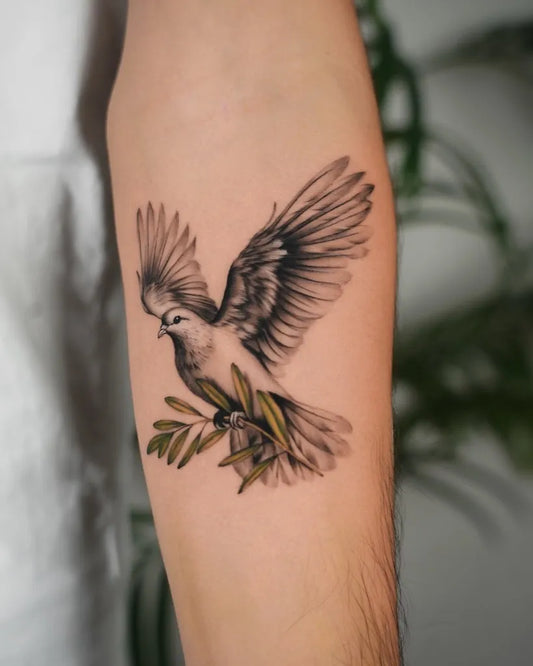 Medium Black and Grey Dove with Olive Branch Tattoo on Men Arm by @ofir.tatts