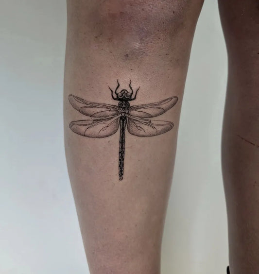 Medium Black and Grey Dragonfly on Women Leg Tattoo by @tash_tatts