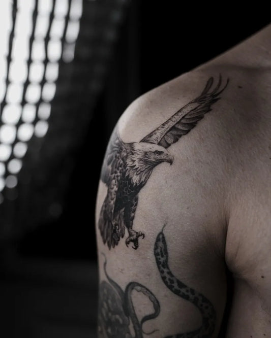 Medium Black and Grey Eagle and Snake Tattoo on Men Shoulder by @eratattz