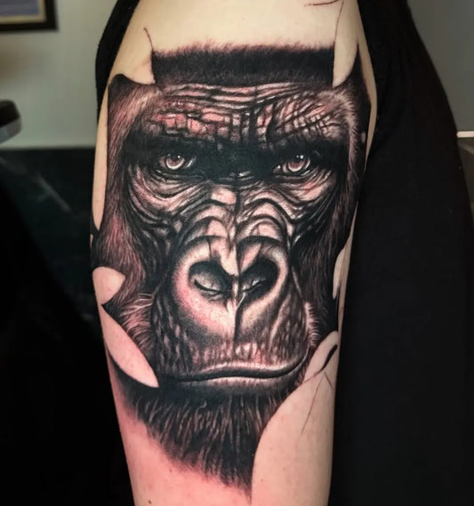 Medium Black and Grey Gorilla Tattoo on Men Arm by @joshdixon.tattoo
