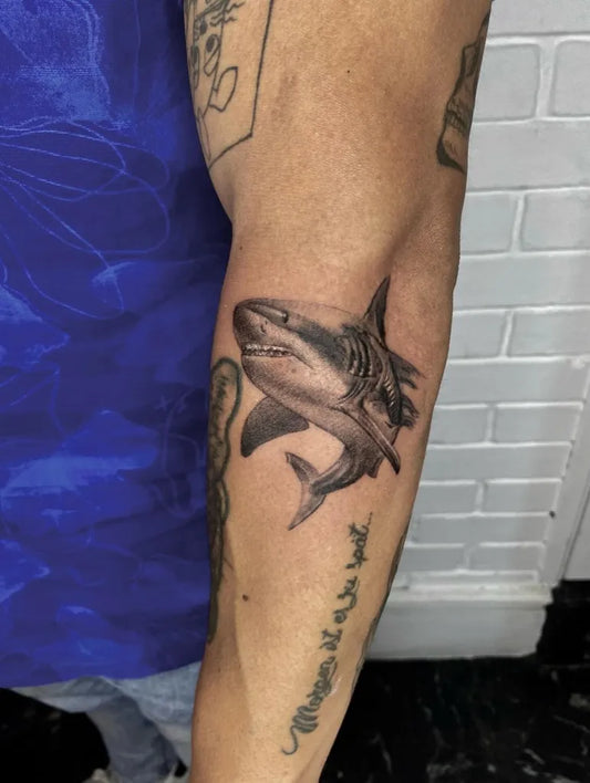 Medium Black and Grey Great White Shark on Men Arm Tattoo by @javiermorales_tattoo