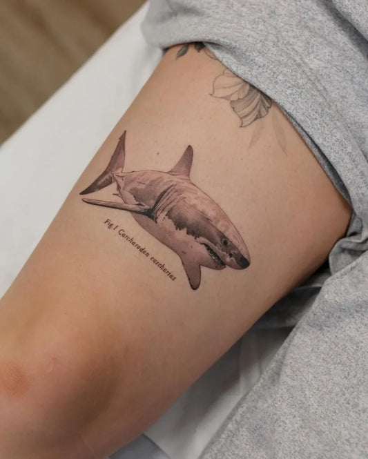 Medium Black and Grey Great White Shark on Women Thigh Tattoo by @kyla_rose_tattoo