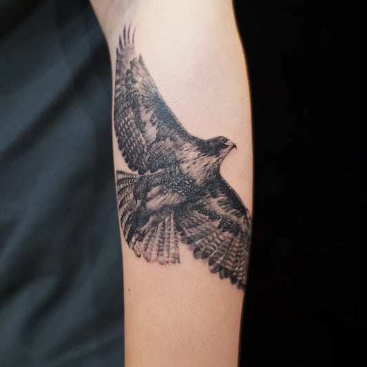 Medium Black and Grey Hawk Tattoo on Men Arm by @modoink_reagan