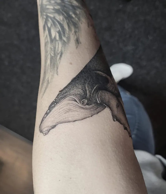 Medium Black and Grey Humpback Whale Nautical Tattoo on Women Arm by @cherrybonestattoo