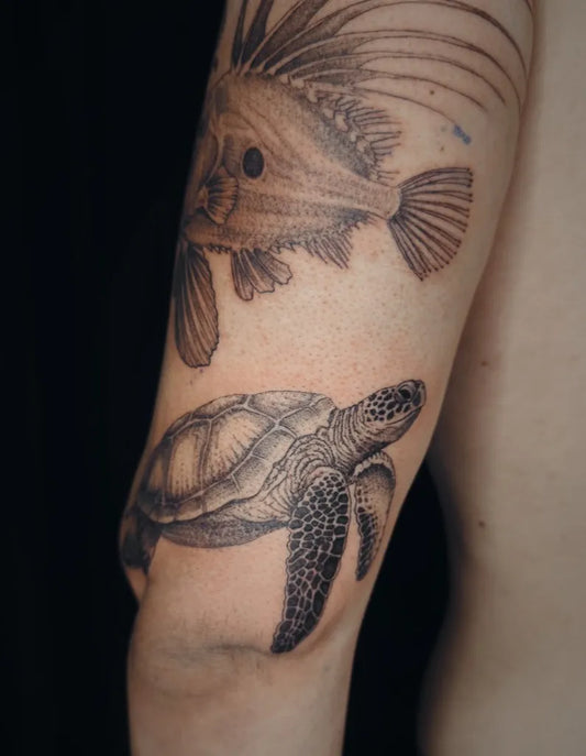 Medium Black and Grey Lionfish and Turtle Tattoo on Men Arm by @nature_obscure
