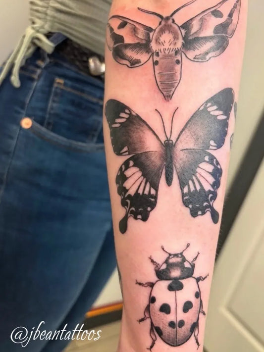 Medium Black and Grey Moth Butterfly Beetle Nature Tattoo on Women Arm by @first_class_studios
