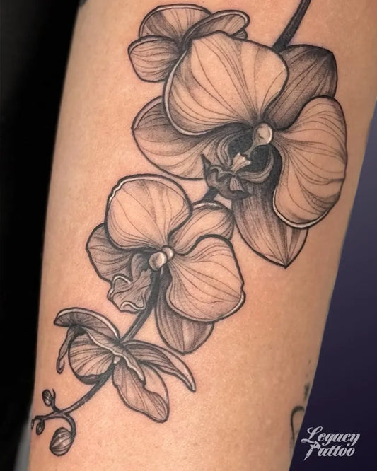 Medium Black and Grey Orchid Flower Tattoo on Women Arm by @legacytatt