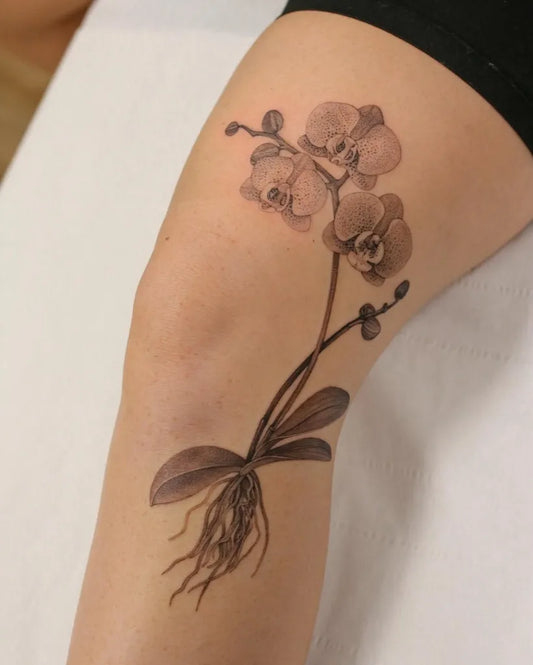 Medium Black and Grey Orchid Plant Tattoo on Women Thigh by @kyla_rose_tattoo