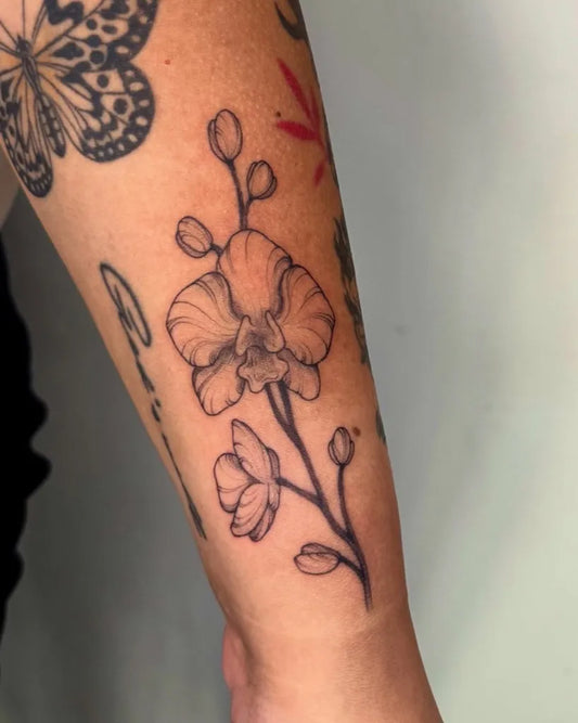 Medium Black and Grey Orchid and Cherry Blossom Tattoo on Women Arm by @sabrinawu_tattoo