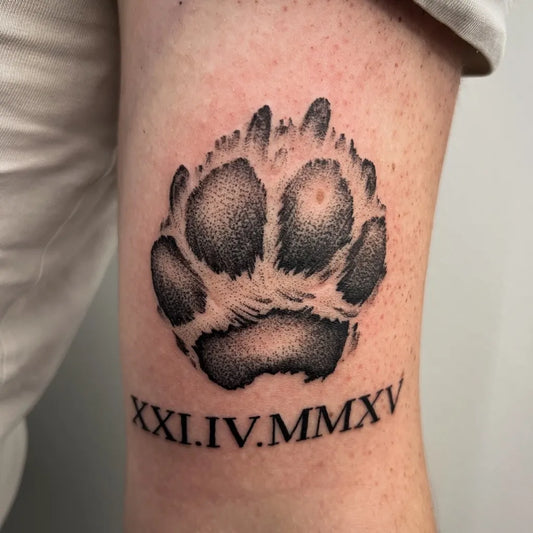 Medium Black and Grey Paw Print and Roman Numerals Tattoo on Men Arm by @raidovagula
