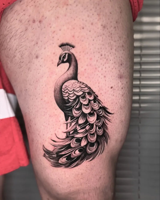 Medium Black and Grey Peacock Tattoo on Men Thigh by @abhijitartt