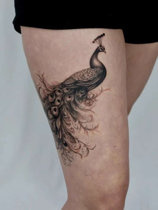 Medium Black and Grey Peacock Tattoo on Women Thigh by @studiohon_