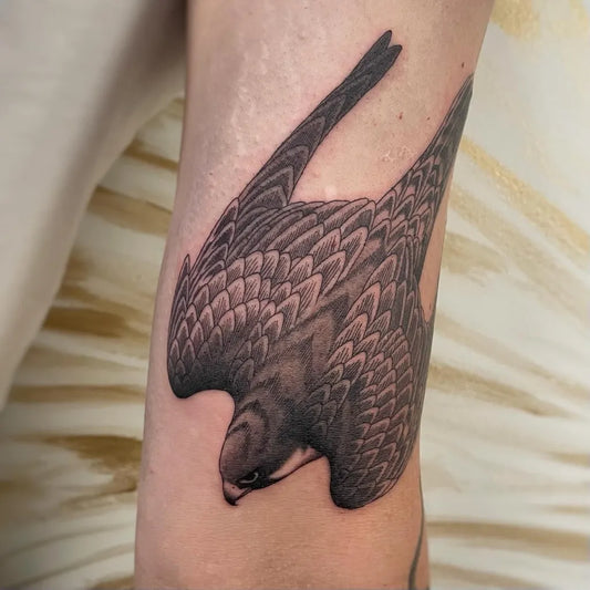 Medium Black and Grey Peregrine Falcon Bird Tattoo on Men Arm by @aheindl_tattoos