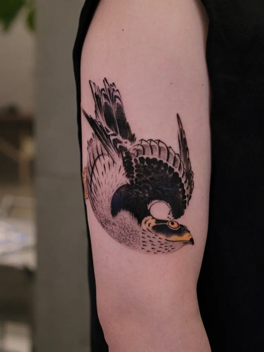 Medium Black and Grey Peregrine Falcon Tattoo on Men Arm by @chenjie.newtattoo