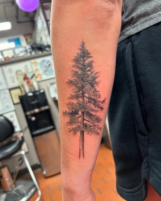 Medium Black and Grey Pine Tree Tattoo on Men Arm by @redgrizzly123