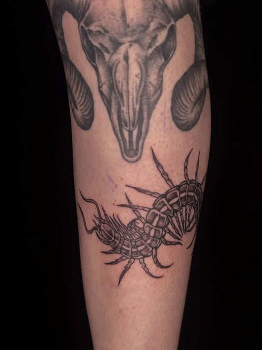 Medium Black and Grey Ram Skull and Centipede Tattoo on Men Leg by @rage.inks