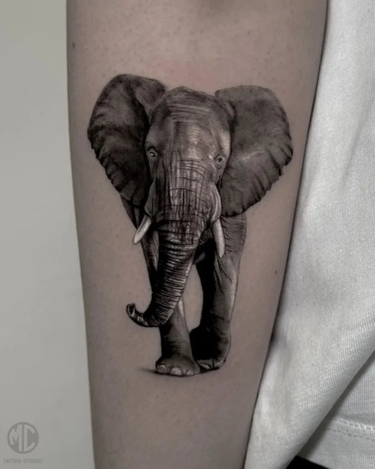 Medium Black and Grey Realism Elephant Tattoo on Men Arm by @mc.tattoostudio