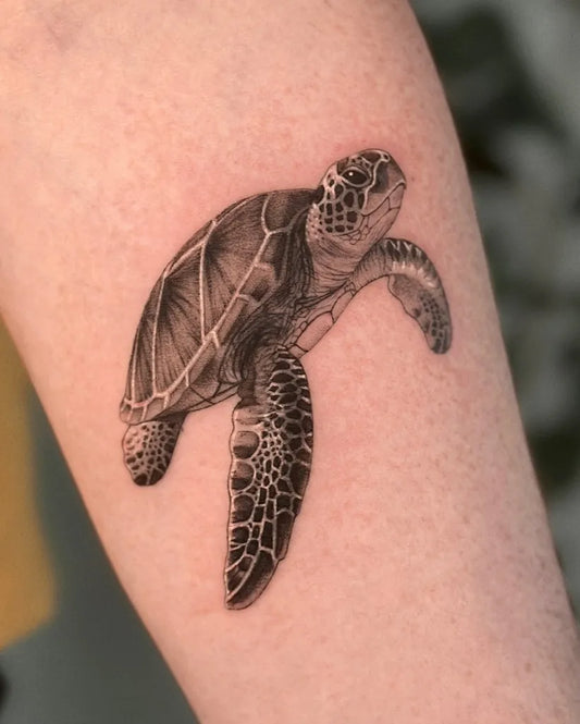Medium Black and Grey Sea Turtle Tattoo on Women Arm by @kristinev