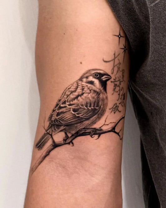 Medium Black and Grey Sparrow and Cherry Blossom Tattoo on Men Arm by @_ink.yan_