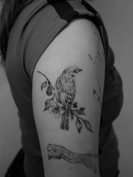 Medium Black and Grey Sparrow with Berry Branch Tattoo on Women Arm by @valentine.ta2