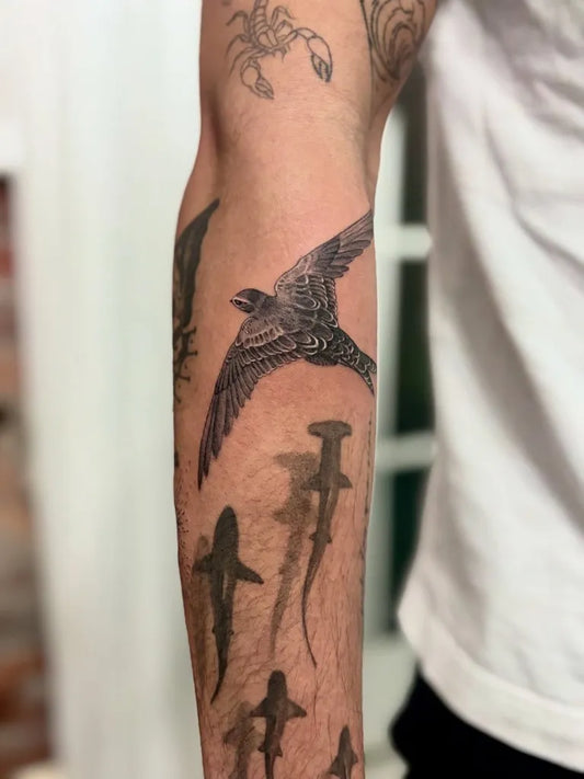 Medium Black and Grey Swallow and Sharks Tattoo on Men Arm by @guysvl