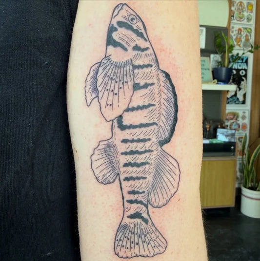 Medium Black and Grey Tiger Fish Tattoo on Men Arm by @mothmanderstattoo