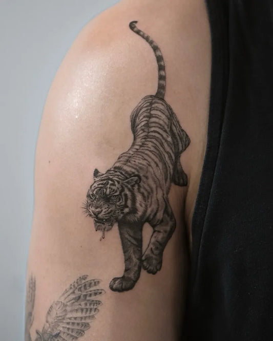 Medium Black and Grey Tiger and Seashell on Men Shoulder Tattoo by @shannn.tattoo