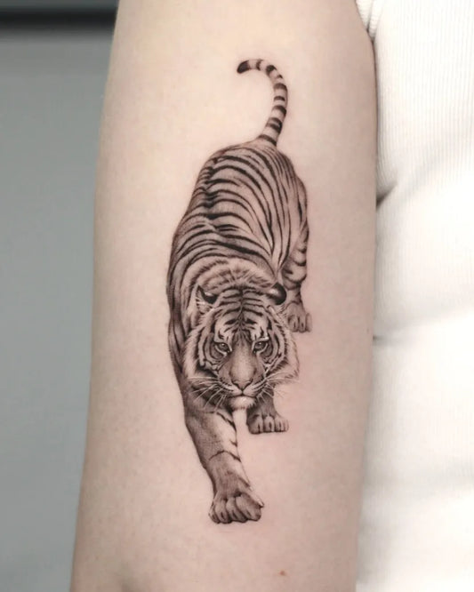 Medium Black and Grey Tiger on Women Arm Tattoo by @tattooist_dh