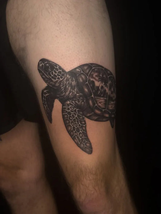 Medium Black and Grey Turtle Tattoo on Men Arm by @justin.sacho.tattoos