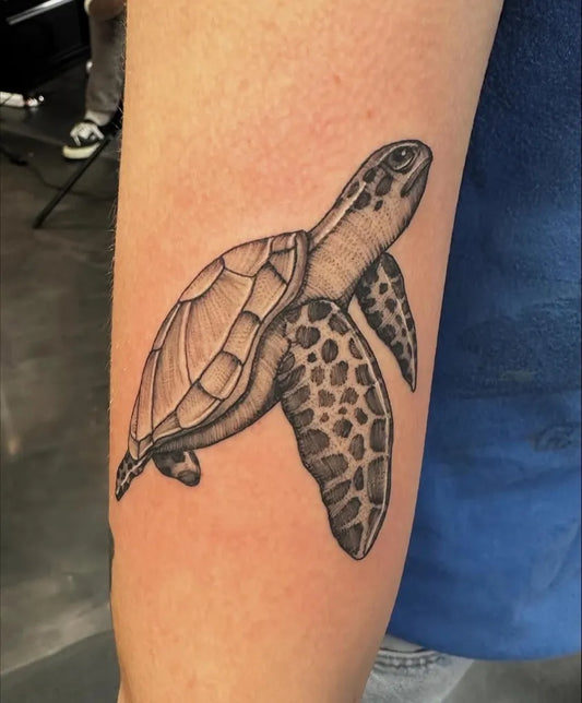 Medium Black and Grey Turtle Tattoo on Men Arm by @saltandlighttattoo