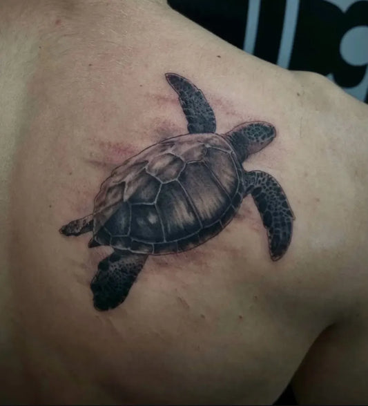 Medium Black and Grey Turtle Tattoo on Men Shoulder by @oceaninktattoos