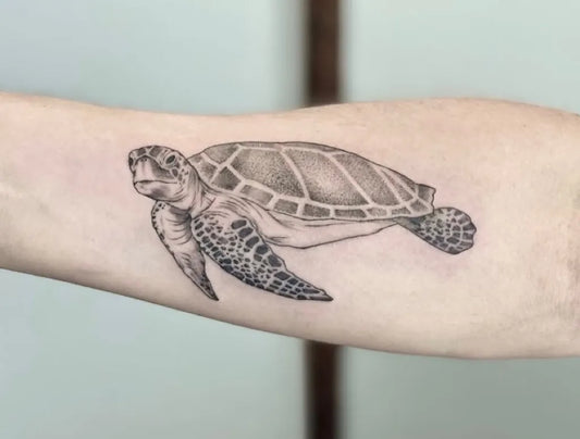 Medium Black and Grey Turtle Tattoo on Women Arm by @ritualarts_pdx