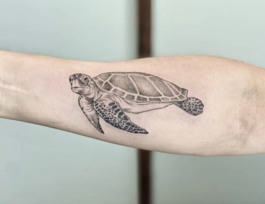 Medium Black and Grey Turtle Tattoo on Women Forearm by @circle.or.a.square