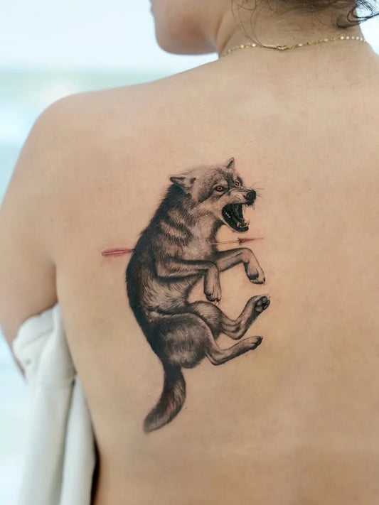 Medium Black and Grey Wolf on Women Back Tattoo by @baronarttattoo