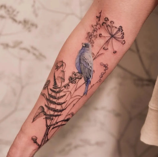 Medium Blackwork Bluebird Ferns Nature Tattoo on Women Arm by @iamthepaintedlady