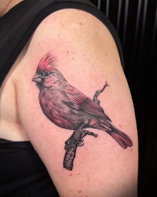 Medium Blackwork Cardinal Bird Tattoo on Women Arm by @steelninkottawa